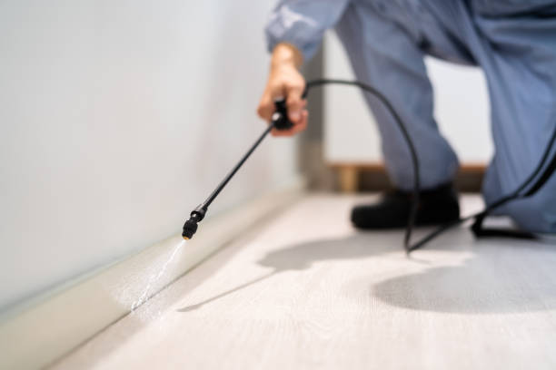 Professional exterminator conducting IPM assessment in Templeton